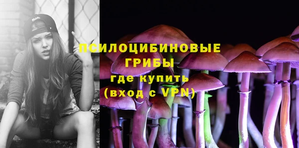 mdpv Алексин