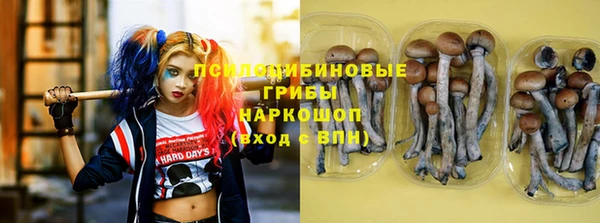 твердый Армянск