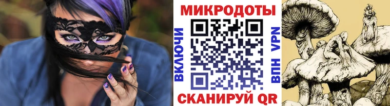 Галлюциногенные грибы GOLDEN TEACHER  ОМГ ОМГ сайт  Трубчевск 