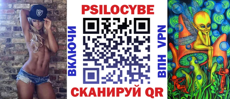 Галлюциногенные грибы Psilocybe Трубчевск